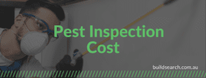 Pest Inspection Cost
